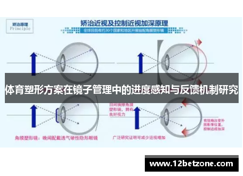 体育塑形方案在镜子管理中的进度感知与反馈机制研究